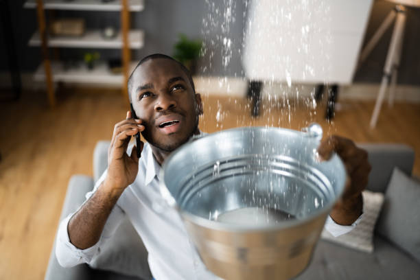 Best Flood restoration services  in Camanche, IA