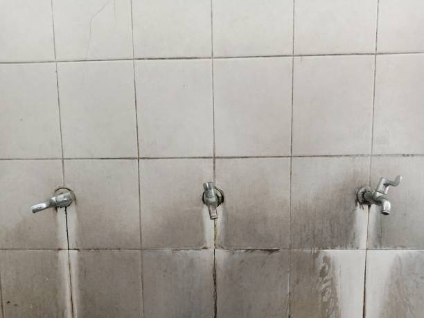 Camanche, IA Water damage restoration Company