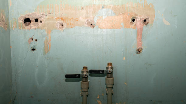 Best Water damage restoration near me  in Camanche, IA