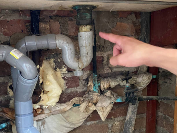 Best Residential water damage restoration  in Camanche, IA