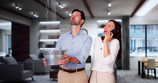 Best Sewage cleanup and water damage restoration  in Camanche, IA